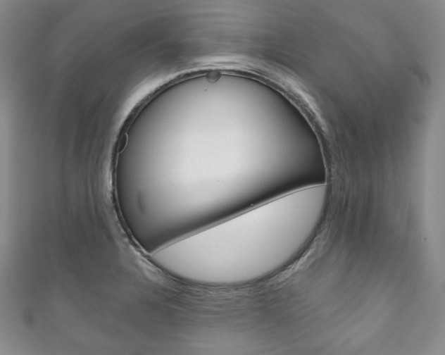 X0000111161328200906301050