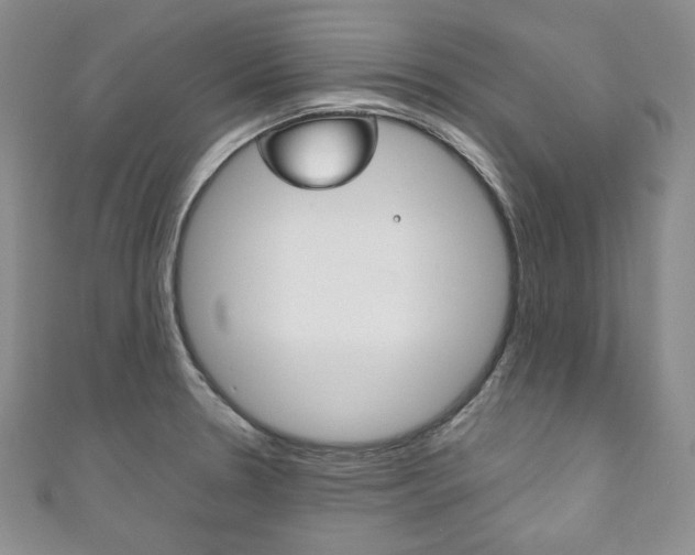 X0000111161330200906301050