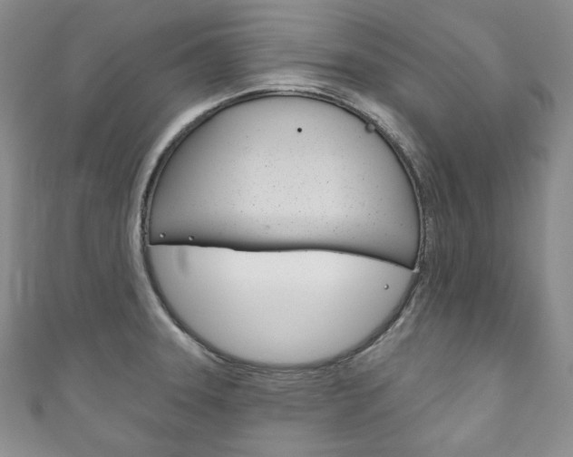 X0000111161331200906301050