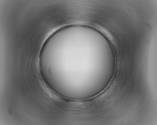 X0000111161332200906301050