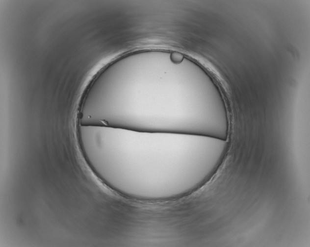 X0000111161333200906301050