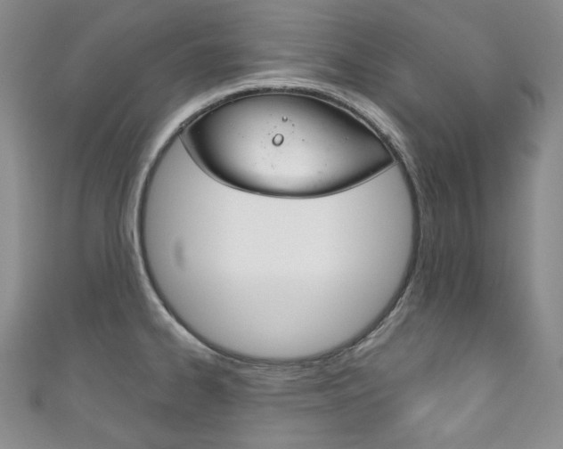X0000111161334200906301050