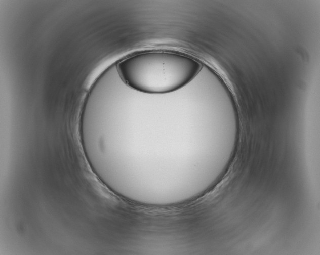 X0000111161336200906301050
