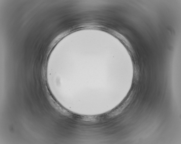 X0000111161338200906301050