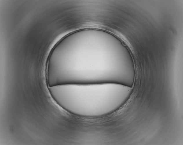 X0000111161339200906301050