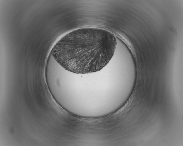 X0000111161340200906301050
