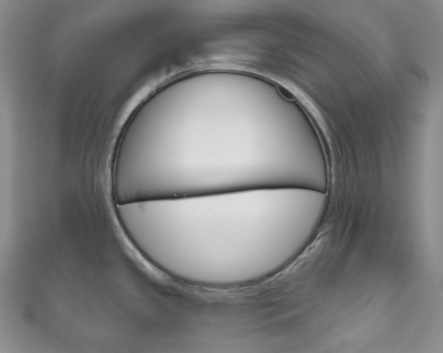 X0000111161341200906301050