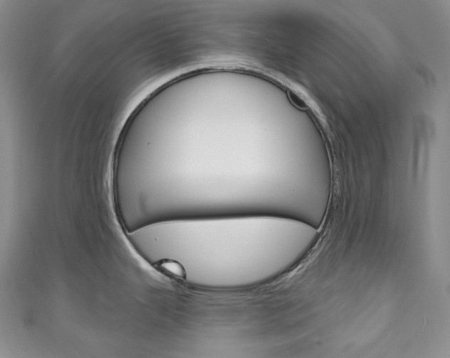 X0000111161343200906301050