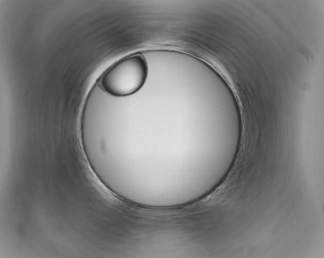 X0000111161344200906301050