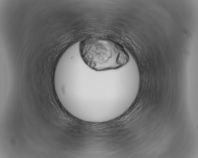 X0000111161345200906301050