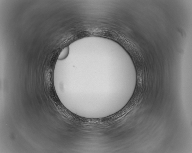 X0000111161346200906301050