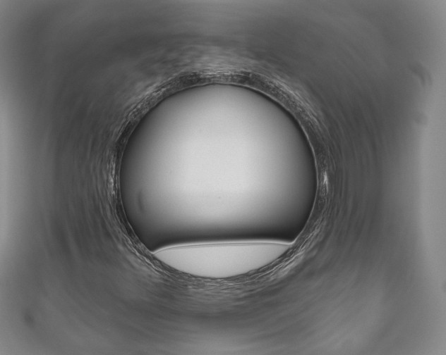 X0000111161348200906301050