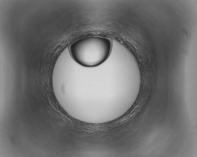 X0000111161349200906301050