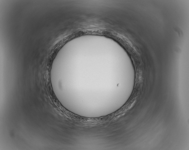 X0000111161350200906301050