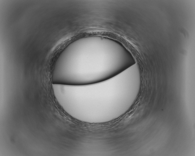 X0000111161351200906301050
