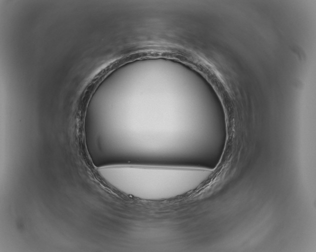 X0000111161352200906301050