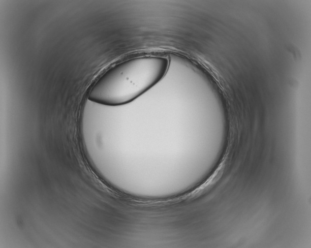 X0000111161353200906301050