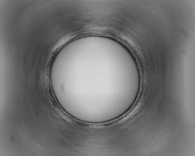 X0000111161354200906301050