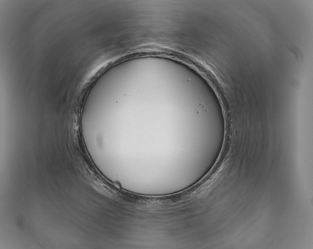 X0000111161355200906301050