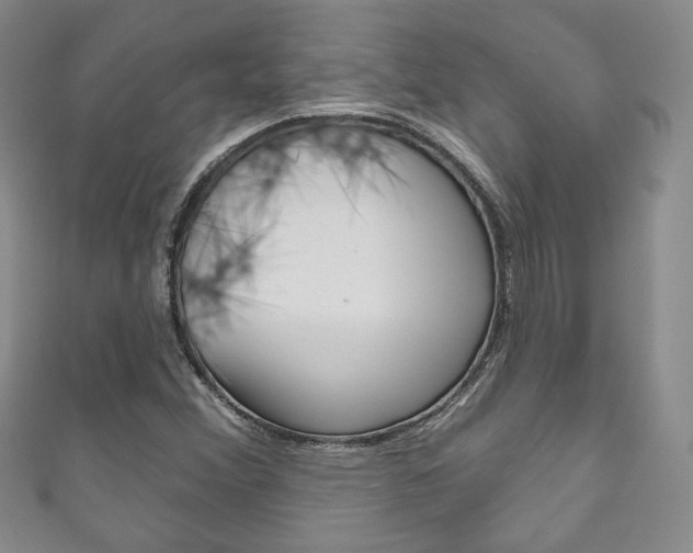 X0000111161356200906301050