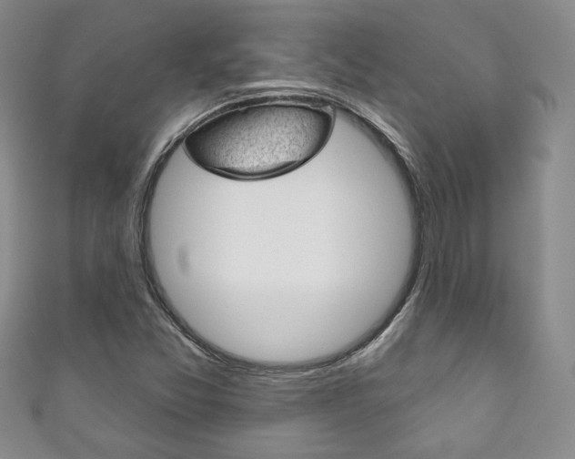 X0000111161357200906301050