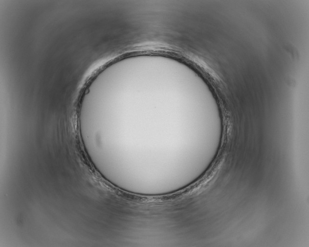 X0000111161358200906301050