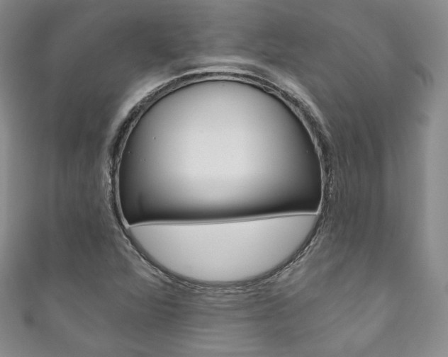 X0000111161360200906301050