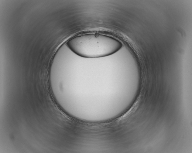 X0000111161361200906301050