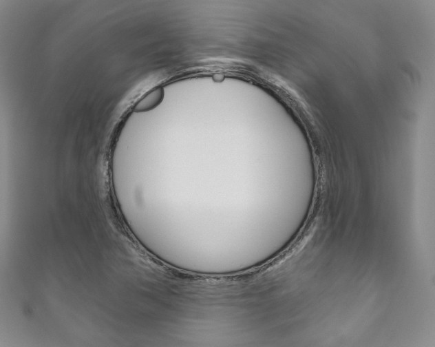 X0000111161362200906301050