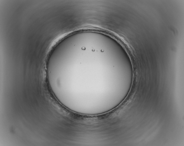 X0000111161363200906301050