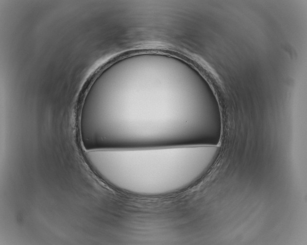 X0000111161364200906301050