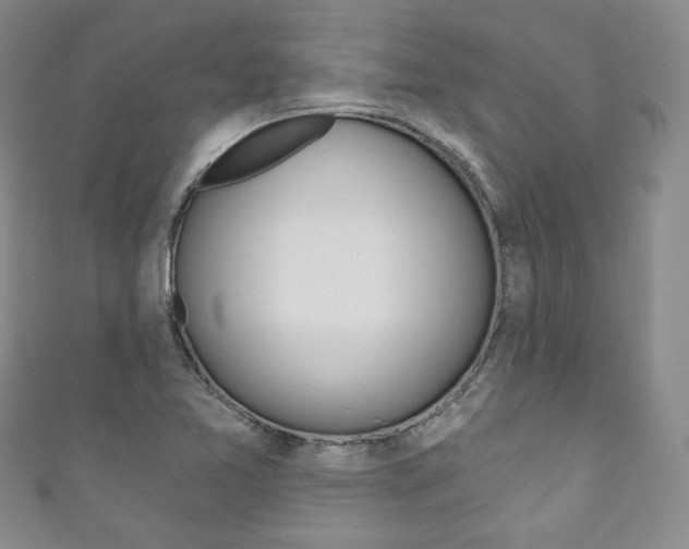 X0000111161365200906301050