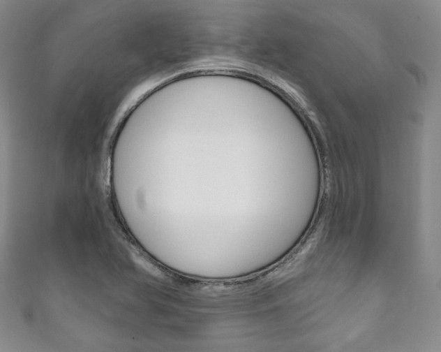 X0000111161366200906301050