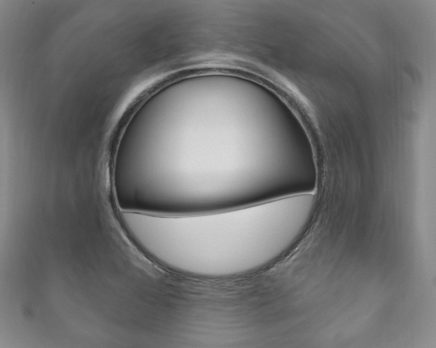X0000111161368200906301049