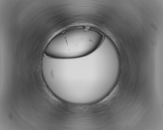 X0000111161369200906301049