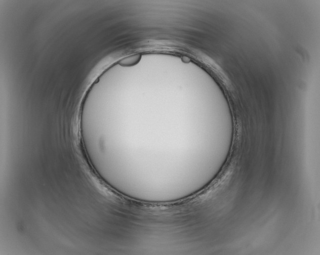 X0000111161370200906301049