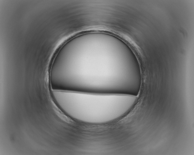 X0000111161372200906301049