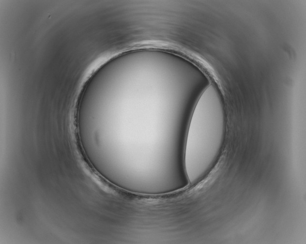 X0000111161373200906301049