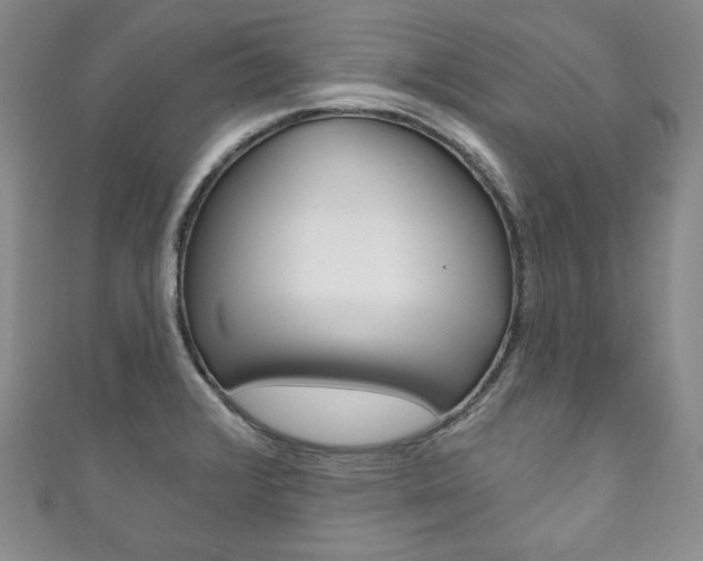 X0000111161376200906301049