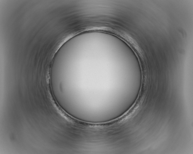 X0000111161377200906301049