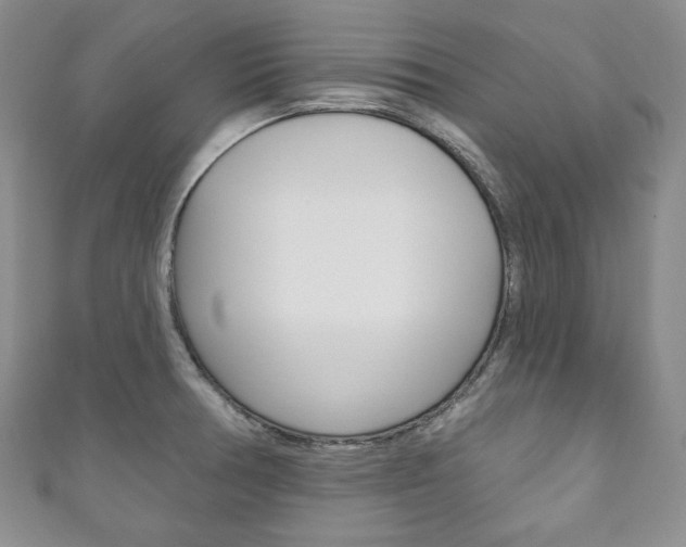 X0000111161378200906301049