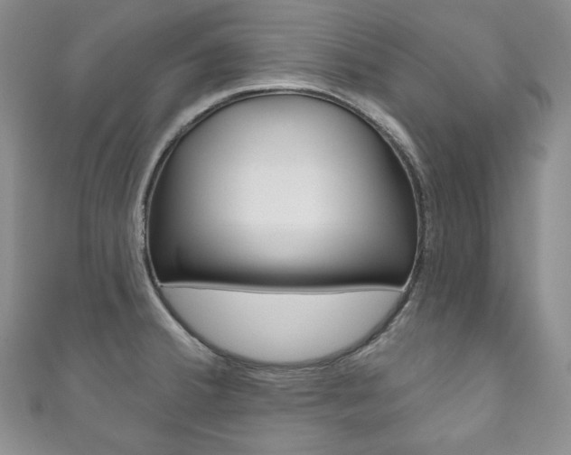 X0000111161380200906301049