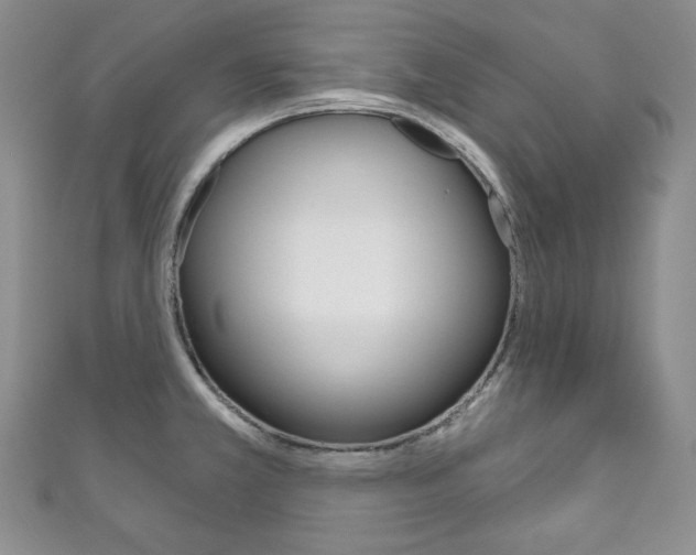 X0000111161381200906301049