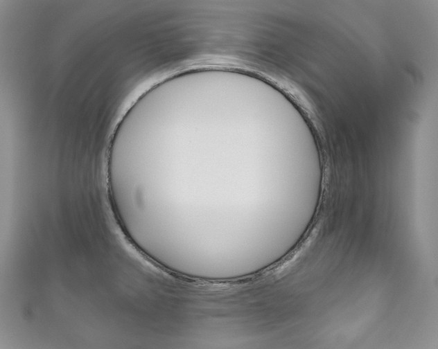X0000111161382200906301049