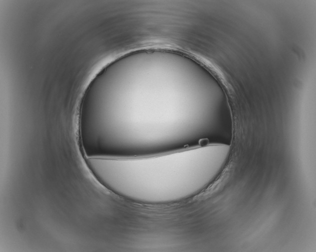 X0000111161383200906301049