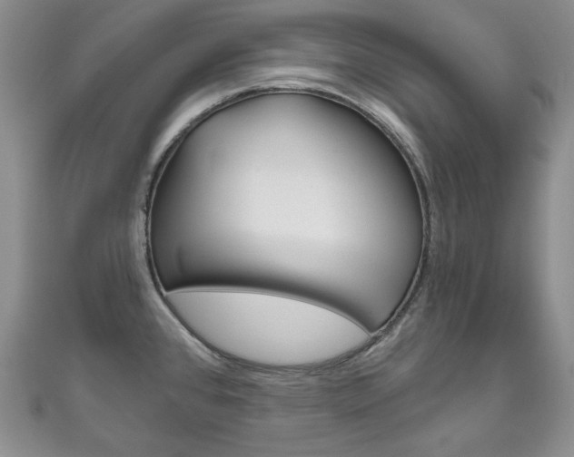 X0000111161384200906301049