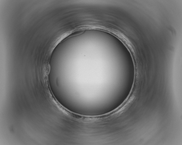 X0000111161385200906301049