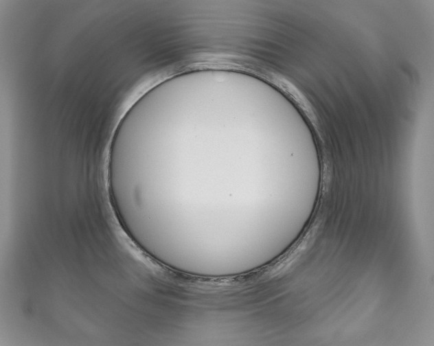 X0000111161386200906301049
