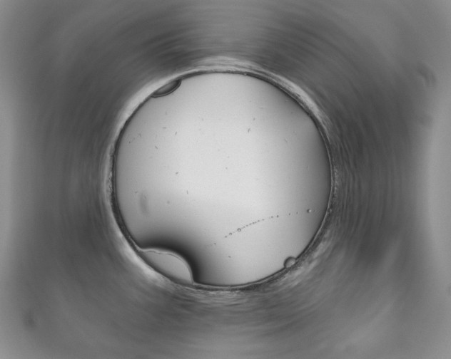 X0000111161387200906301049