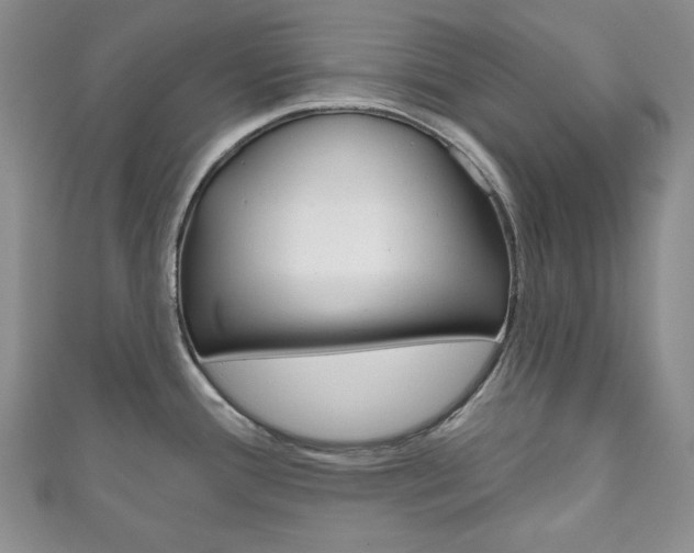 X0000111161388200906301049